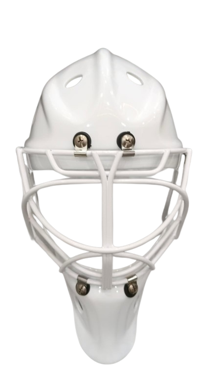 Goalie Helmet